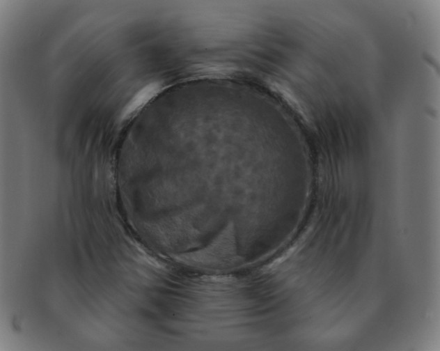 X0000091351354200708241237