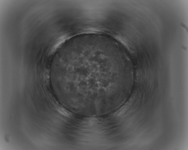 X0000091351355200708241237