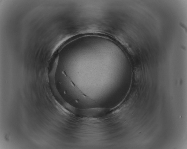 X0000091351356200708241237