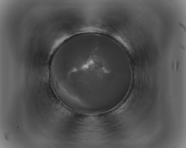 X0000091351358200708241237