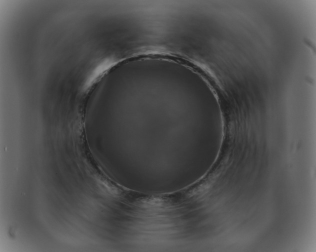 X0000091351359200708241237