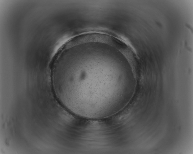 X0000091351360200708241237