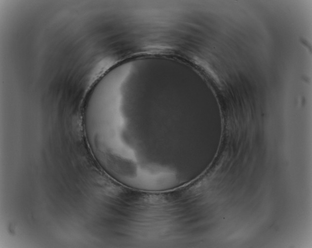 X0000091351362200708241237