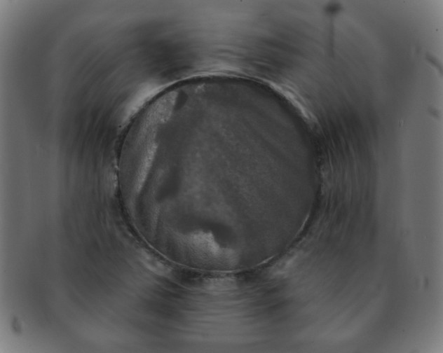 X0000091351363200708241237