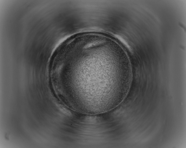 X0000091351364200708241237