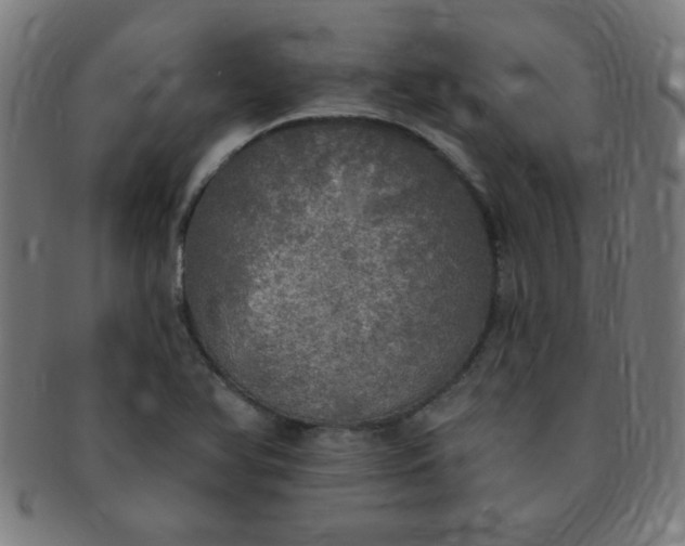 X0000091351366200708241237