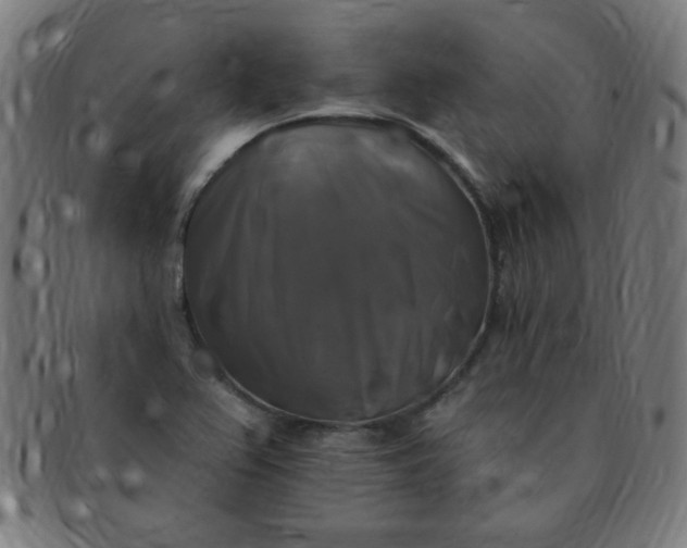 X0000091351367200708241237
