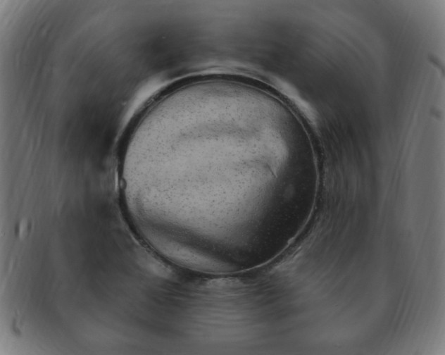 X0000091351368200708241237