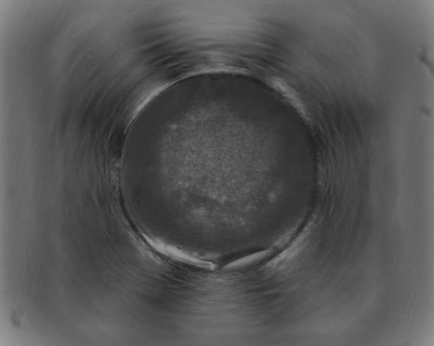X0000091351369200708241237