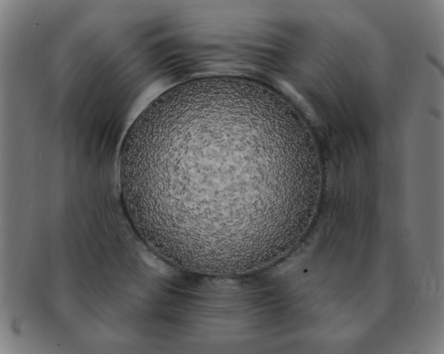 X0000091351370200708241237