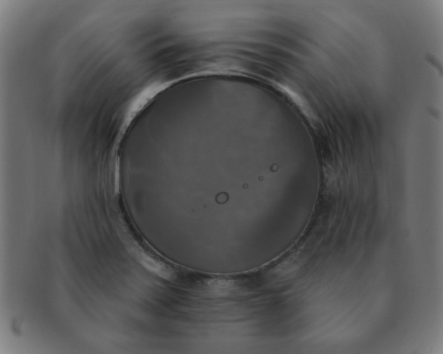 X0000091351371200708241237
