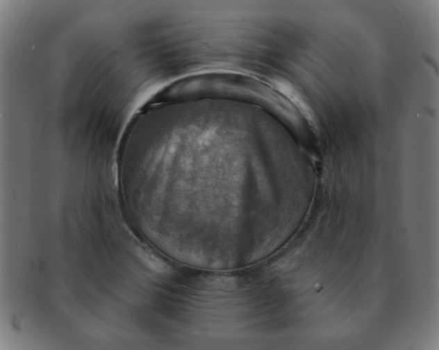 X0000091351372200708241237