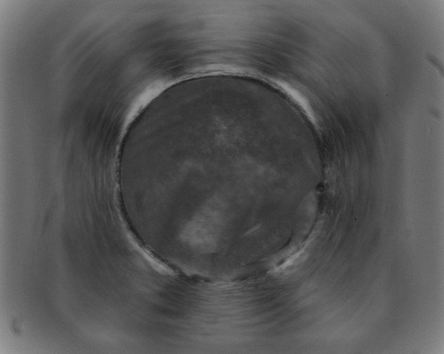 X0000091351373200708241237