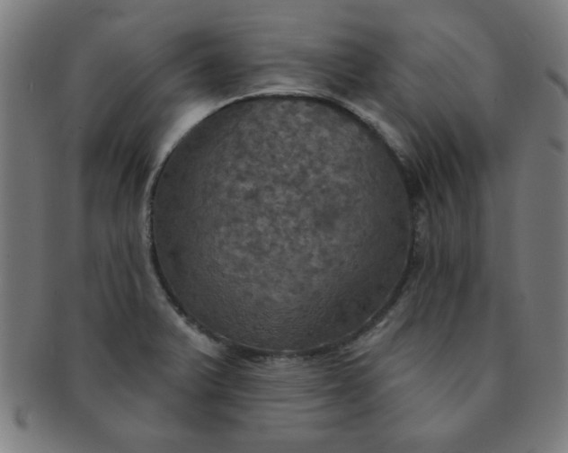 X0000091351375200708241237