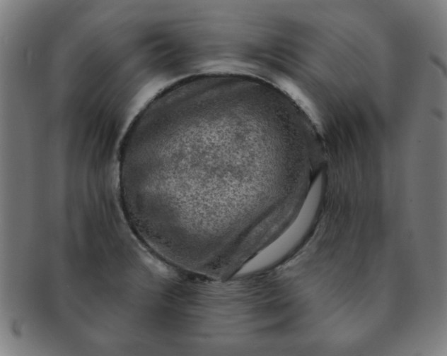 X0000091351376200708241237