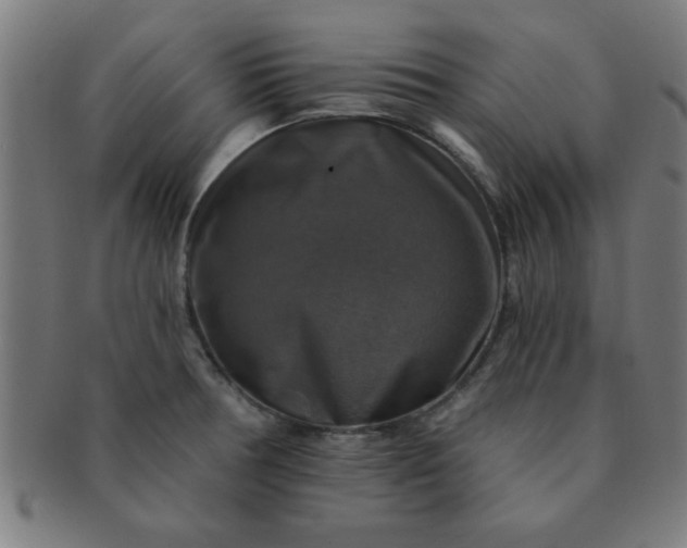 X0000091351378200708241236