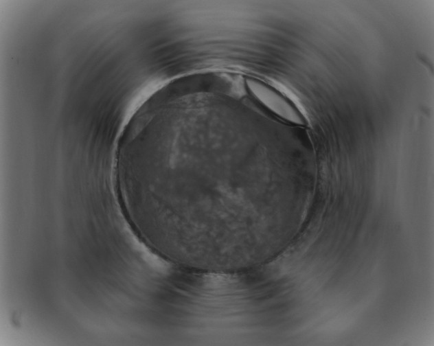 X0000091351379200708241236