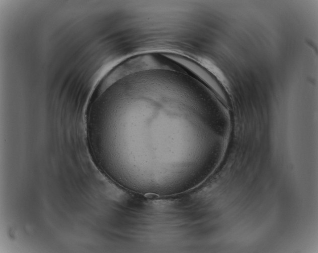 X0000091351380200708241236