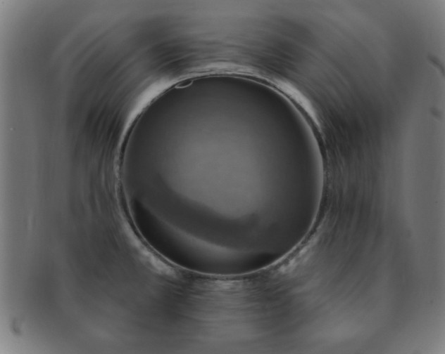 X0000091351381200708241236