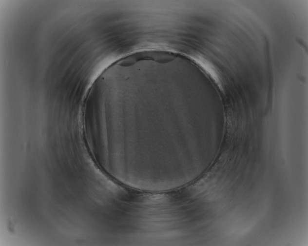 X0000091351382200708241236
