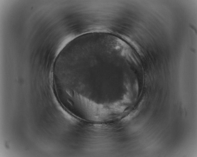 X0000091351383200708241236
