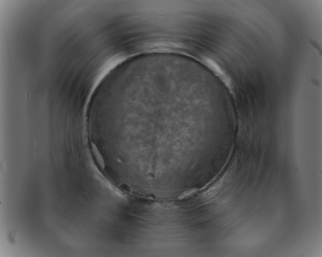 X0000091351384200708241236