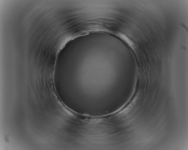 X0000091351385200708241236
