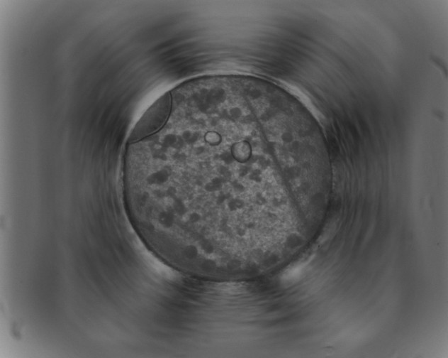 X0000091351387200708241236