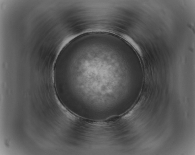 X0000091351388200708241236