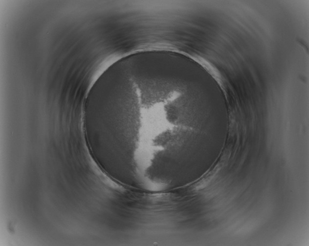 X0000091351390200708241236