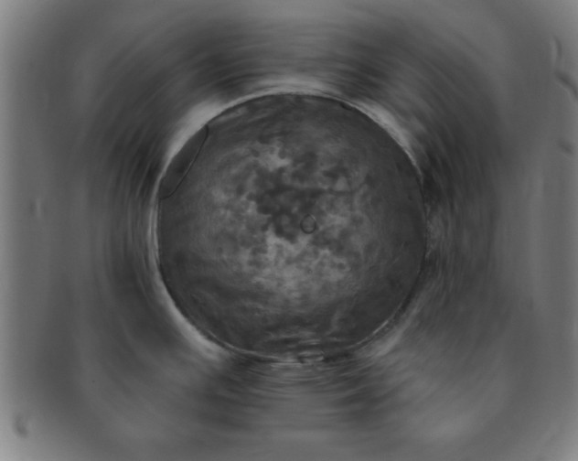 X0000091351391200708241236