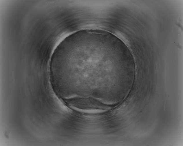X0000091351392200708241236