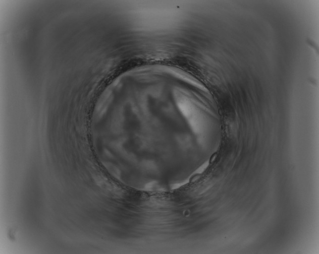 X0000091351393200708241235