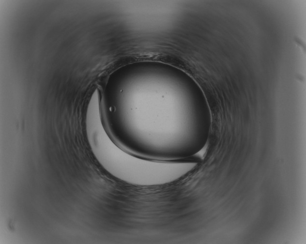 X0000091351394200708241235