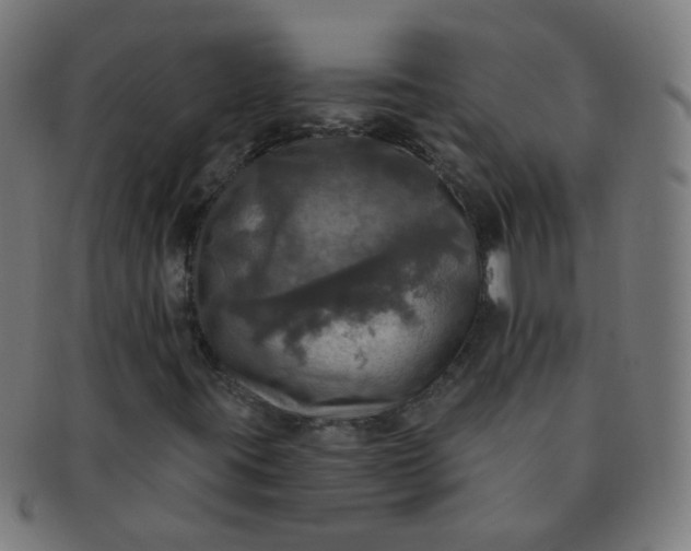 X0000091351395200708241236
