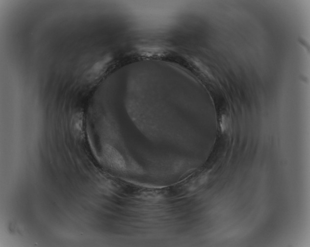 X0000091351396200708241236
