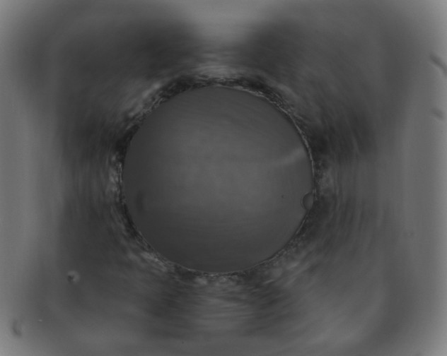 X0000091351397200708241236