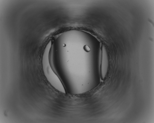 X0000091351398200708241236