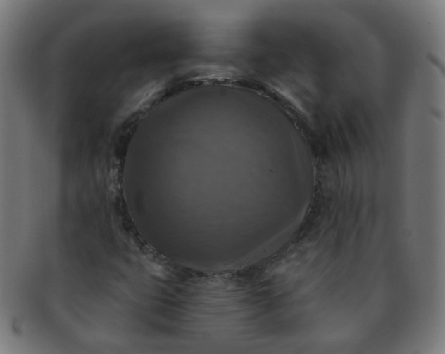 X0000091351399200708241236