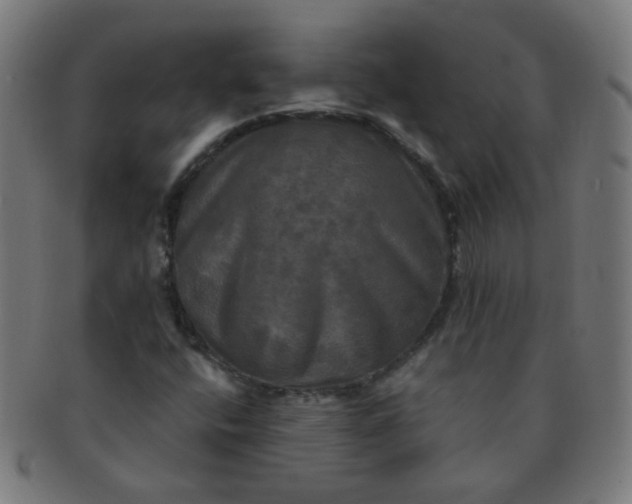 X0000091351400200708241236