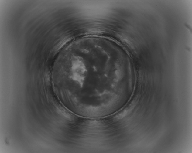 X0000091351401200708241236