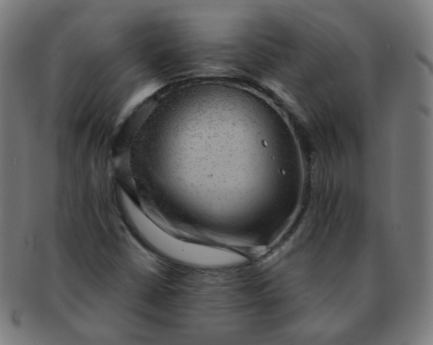 X0000091351402200708241236