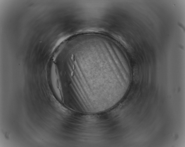 X0000091351404200708241236