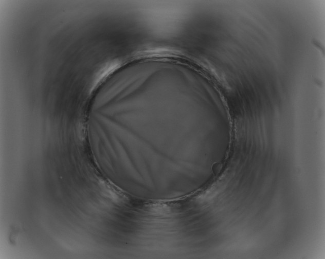 X0000091351405200708241236