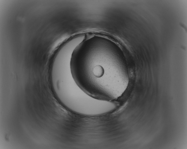X0000091351406200708241236