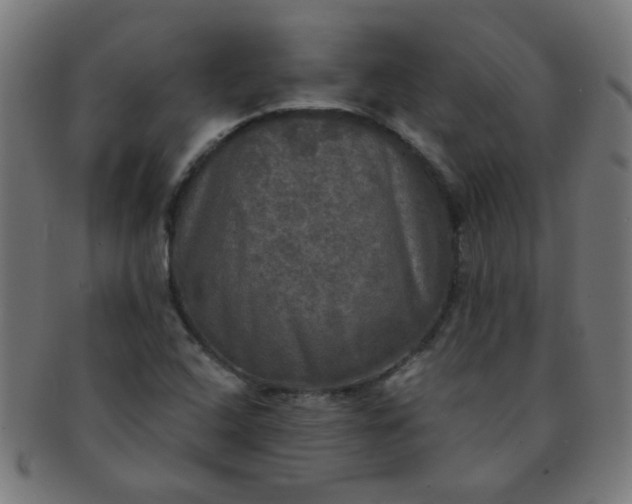 X0000091351408200708241236