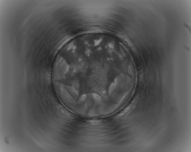 X0000091351409200708241236