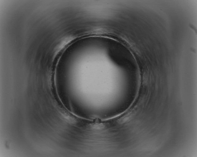 X0000091351410200708241236