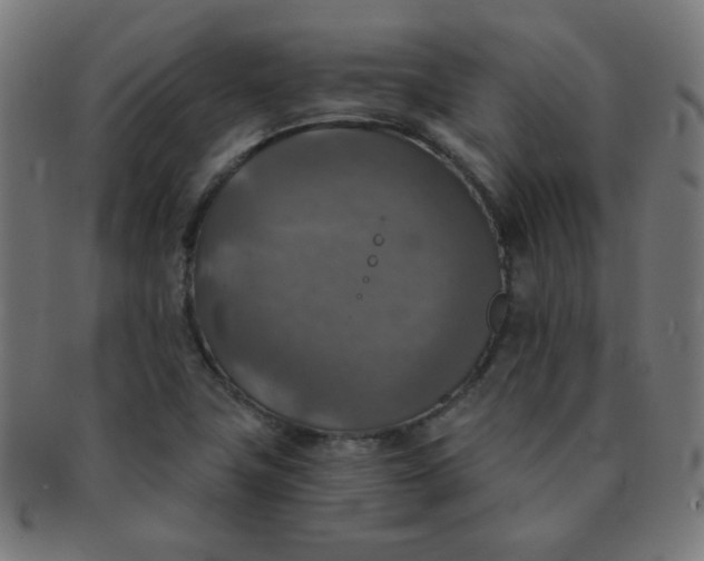 X0000091351411200708241236
