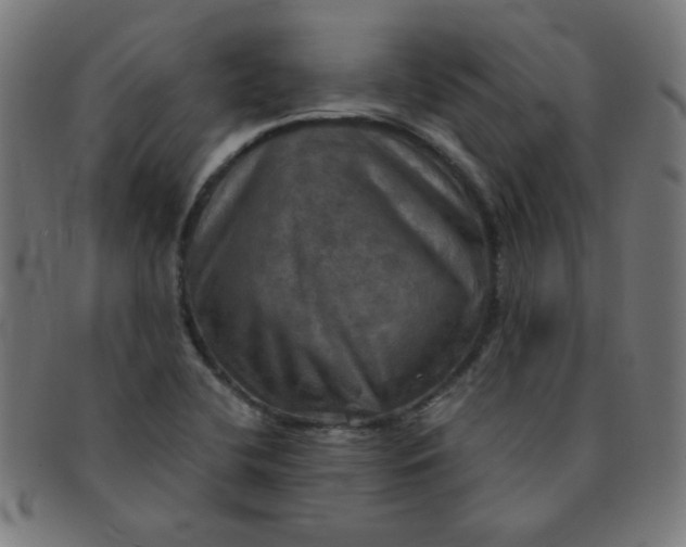 X0000091351412200708241236